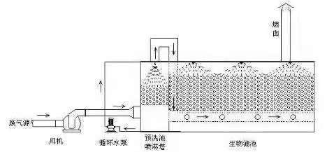 生物過(guò)濾池的工作原理